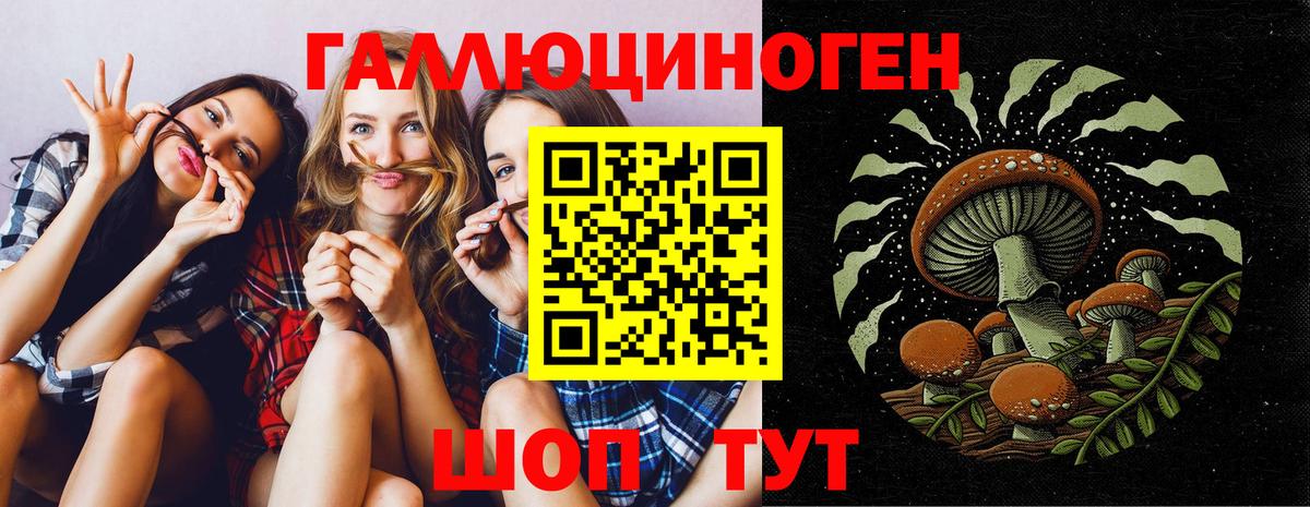 как найти закладки  Галлюциногенные грибы Magic Shrooms  Вход с VPN  Ахтубинск 